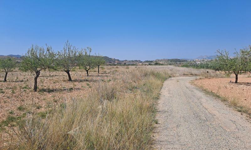 For sale of land in Macisvenda