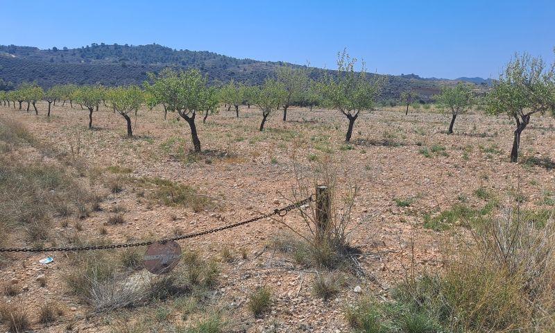 Venta de terreno en Macisvenda