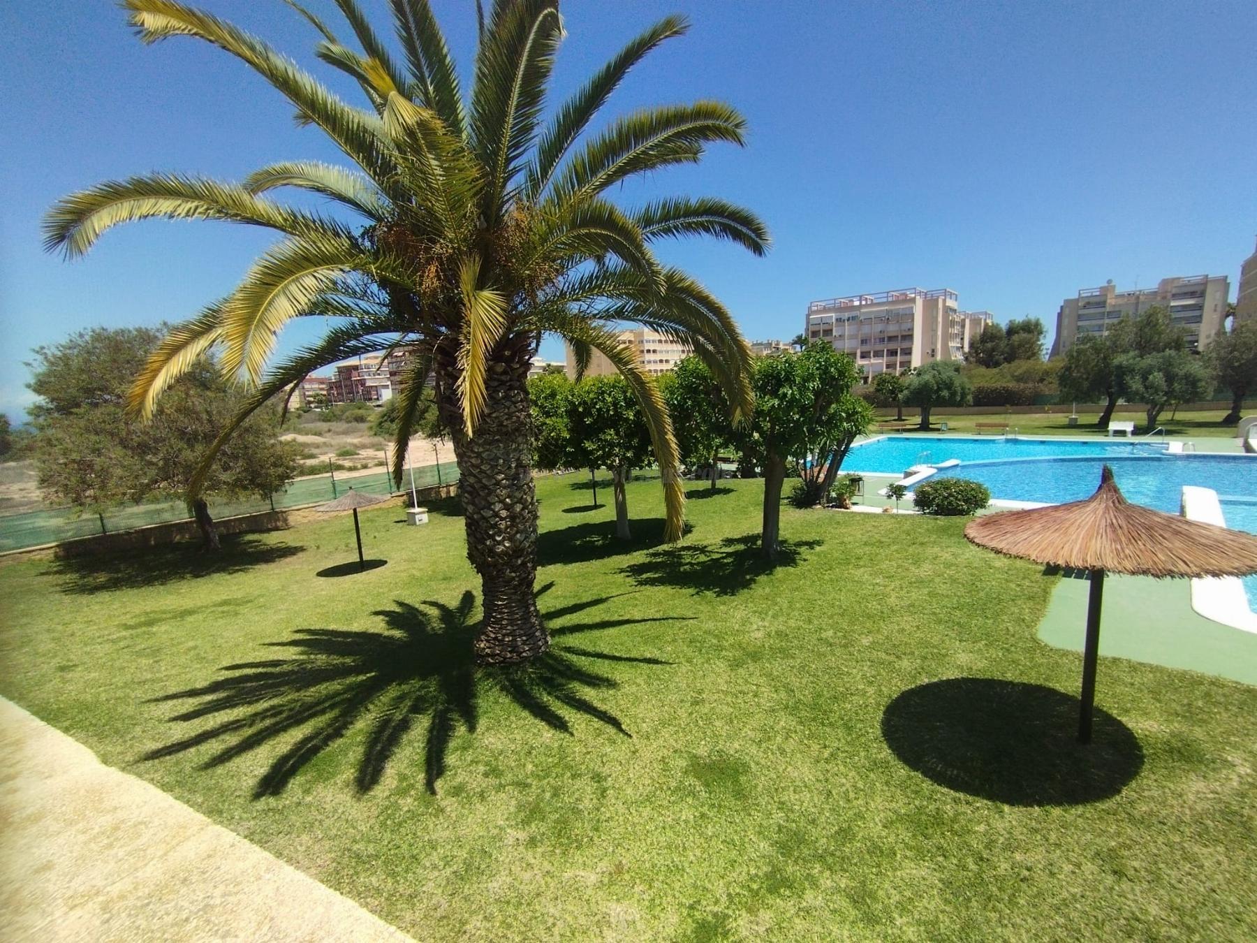 Zu verkaufen von bungalow in
 Torrevieja