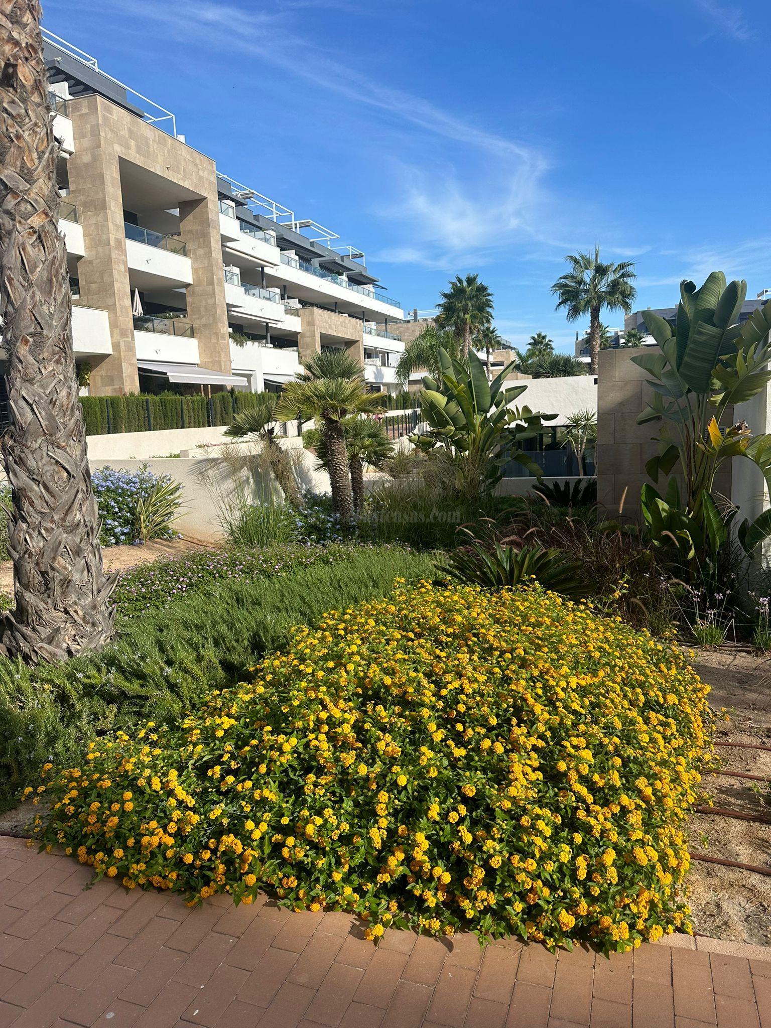 Verkoop van appartement in Orihuela Costa