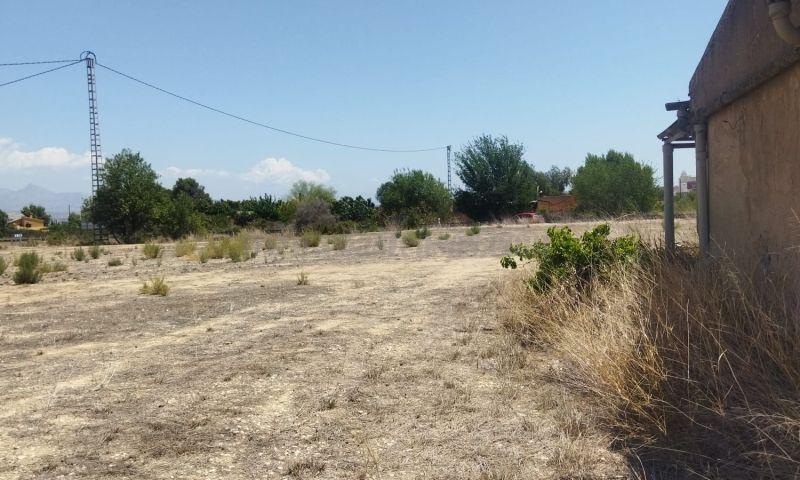 For sale of land in Aspe
