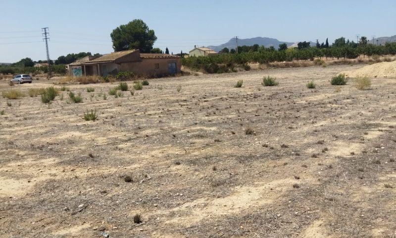 For sale of land in Aspe