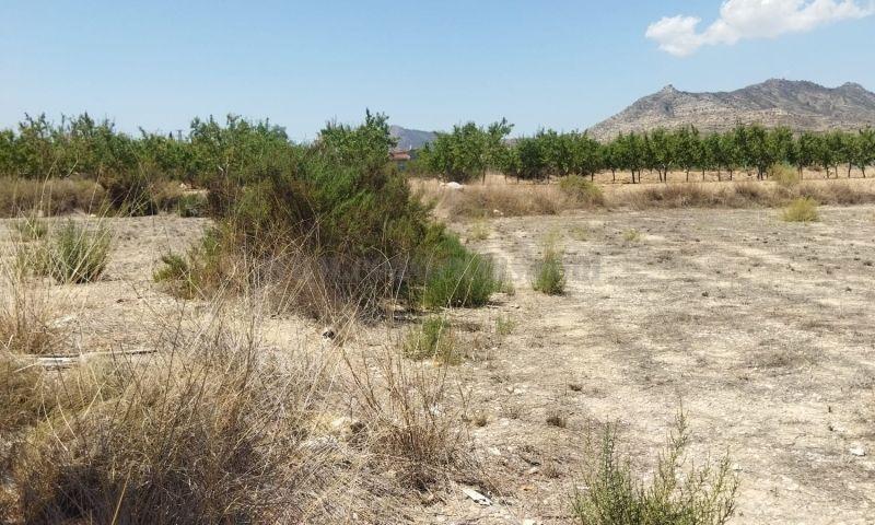 For sale of land in Aspe