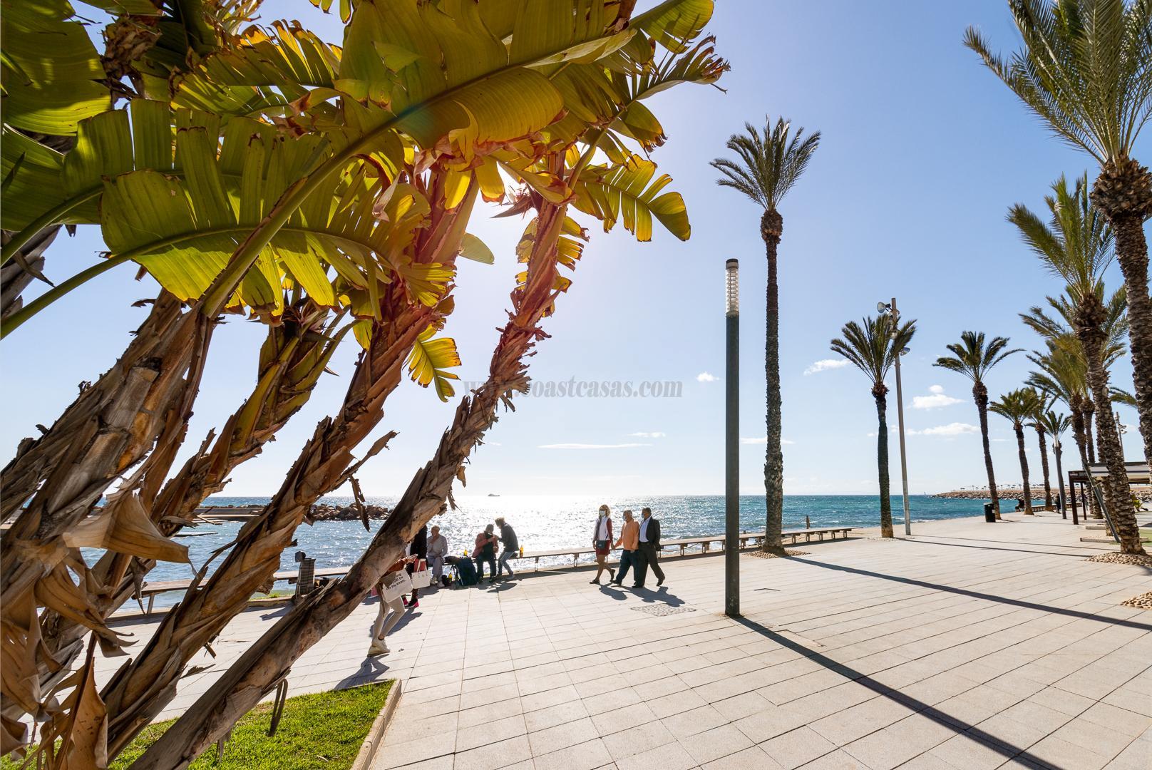 Продажа от

 Апартаменты на Torrevieja