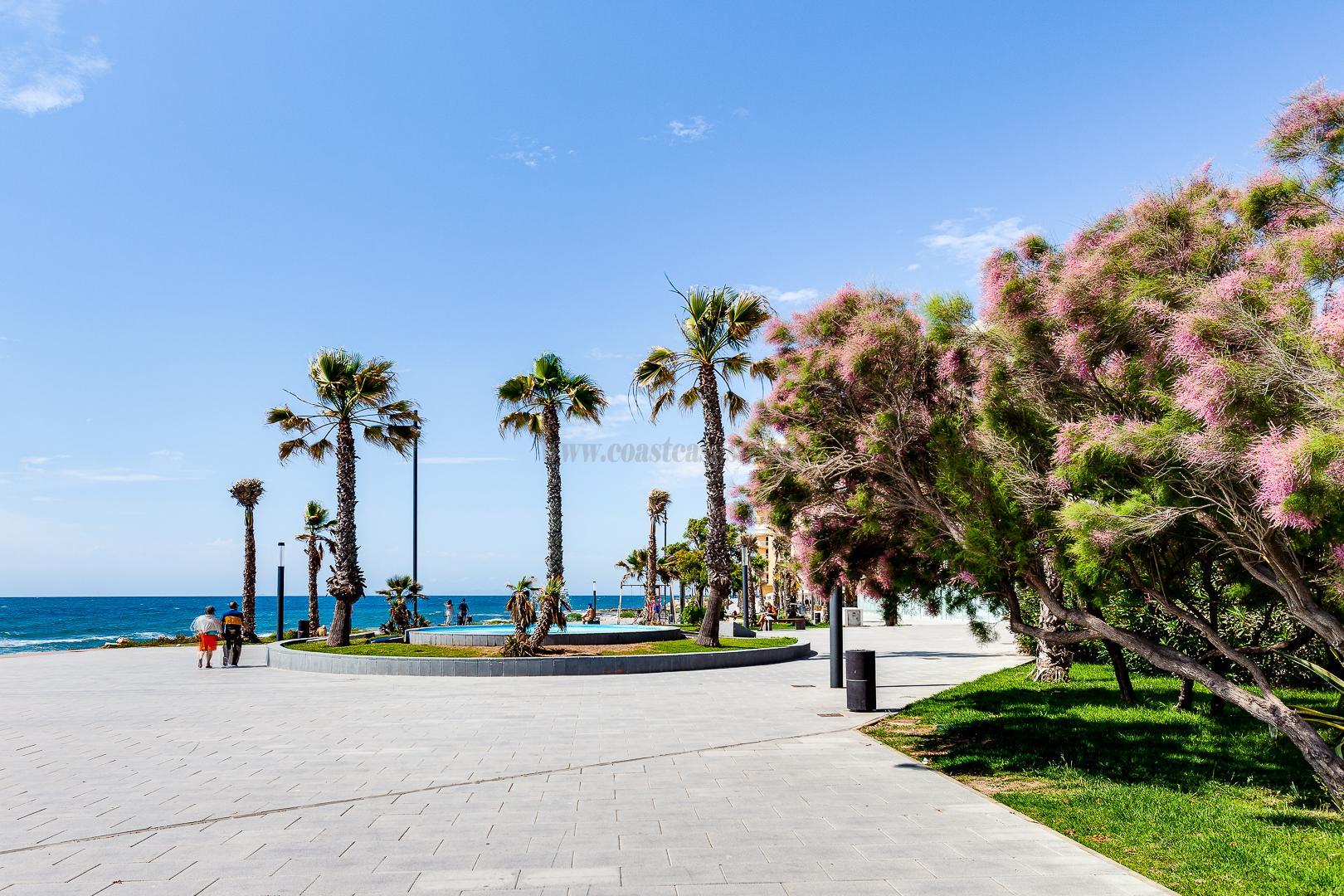For sale of apartment in Torrevieja