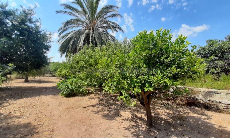 For sale of villa in Macisvenda