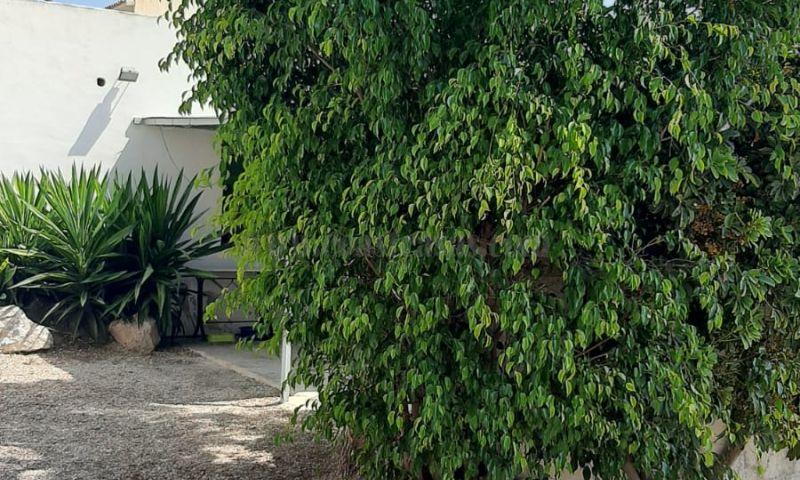 For sale of villa in Macisvenda