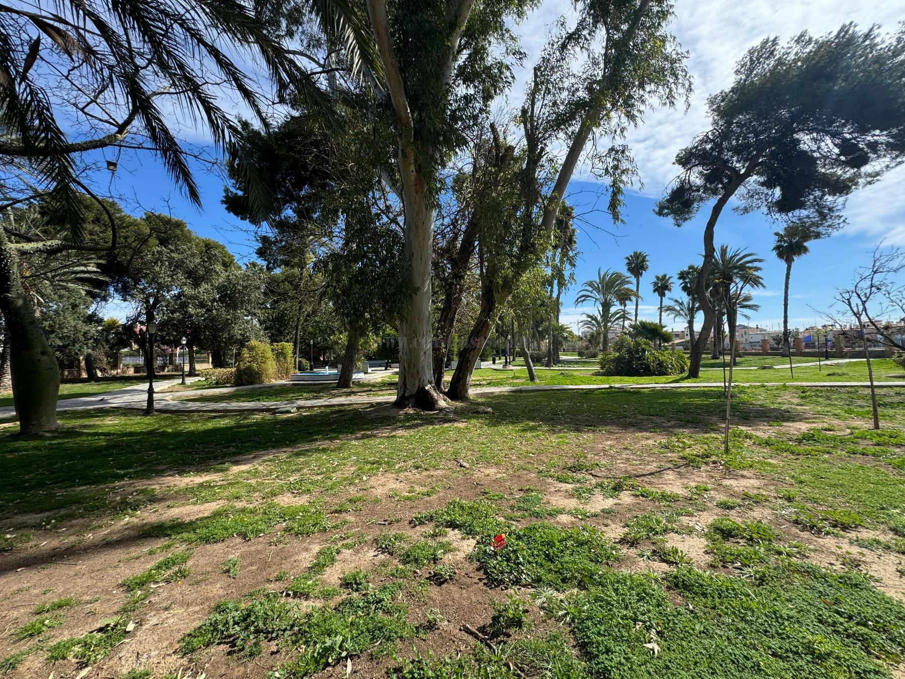 Vente de appartement dans Torrevieja