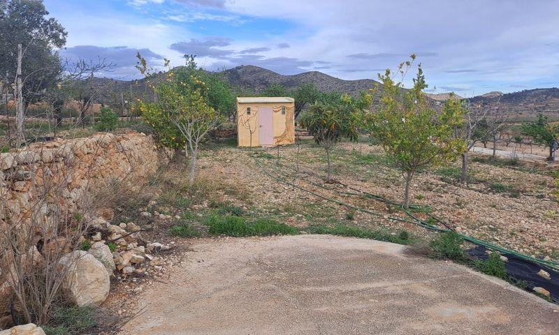 For sale of rural property in Hondón De Las Nieves