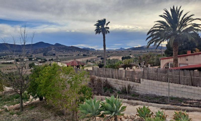 For sale of rural property in Hondón De Las Nieves