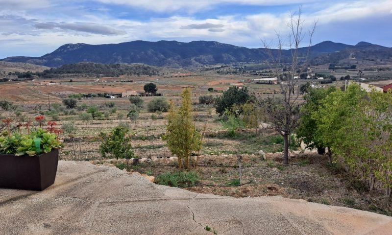 For sale of rural property in Hondón De Las Nieves