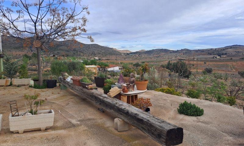 For sale of rural property in Hondón De Las Nieves