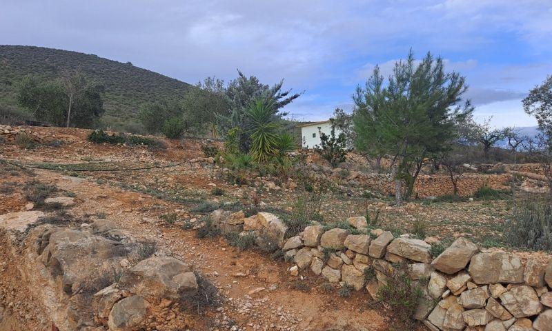 For sale of rural property in Hondón De Las Nieves