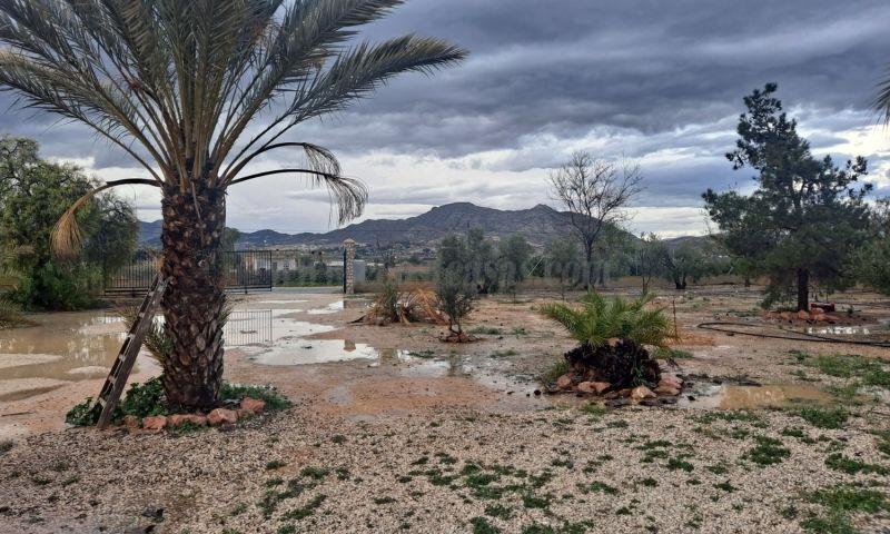 For sale of villa in Aspe