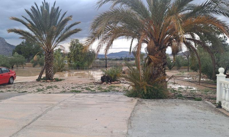 For sale of villa in Aspe