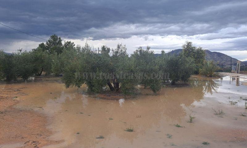 For sale of villa in Aspe