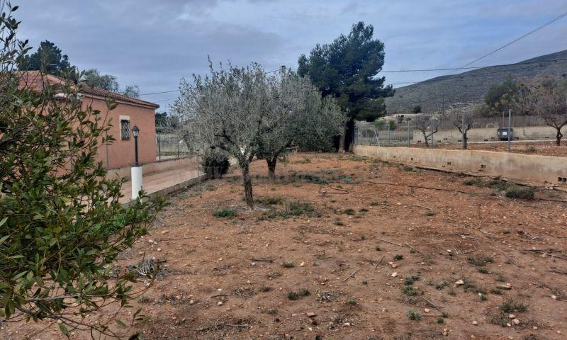 For sale of rural property in Hondón De Los Frailes