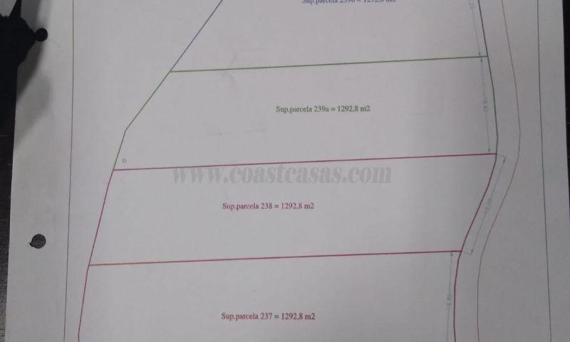 For sale of land in Abanilla