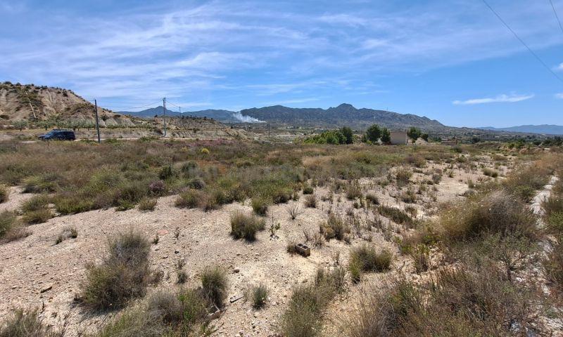 For sale of land in Abanilla