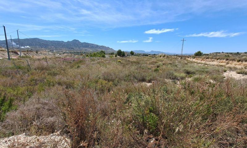 For sale of land in Abanilla