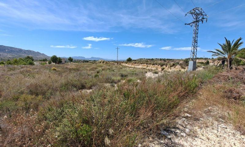 For sale of land in Abanilla