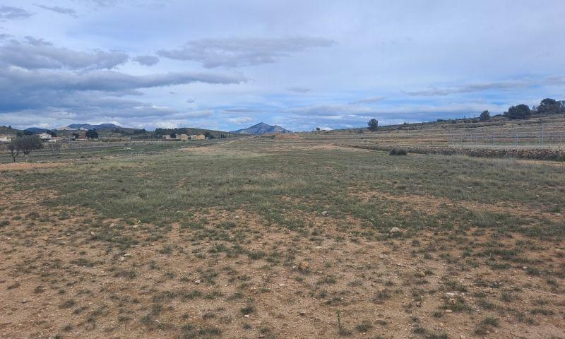 For sale of land in Jumilla