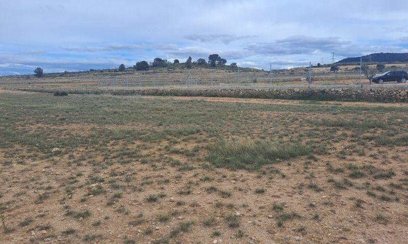 For sale of land in Jumilla