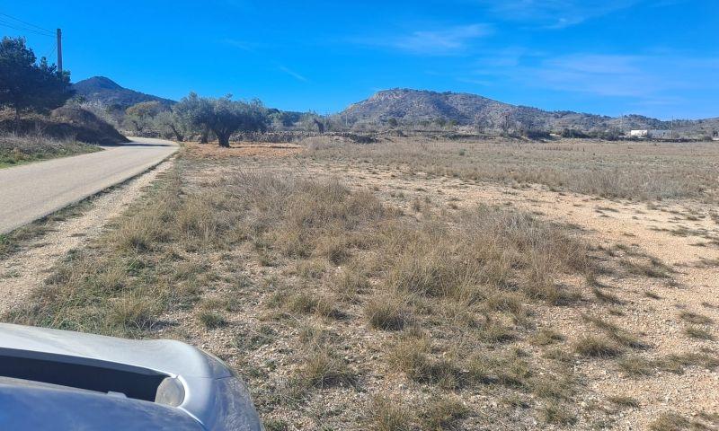 For sale of land in Hondón De Las Nieves