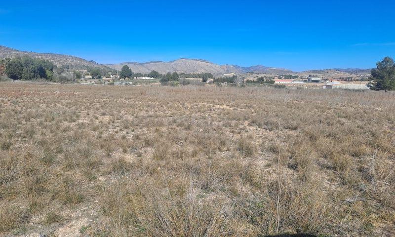 For sale of land in Hondón De Las Nieves