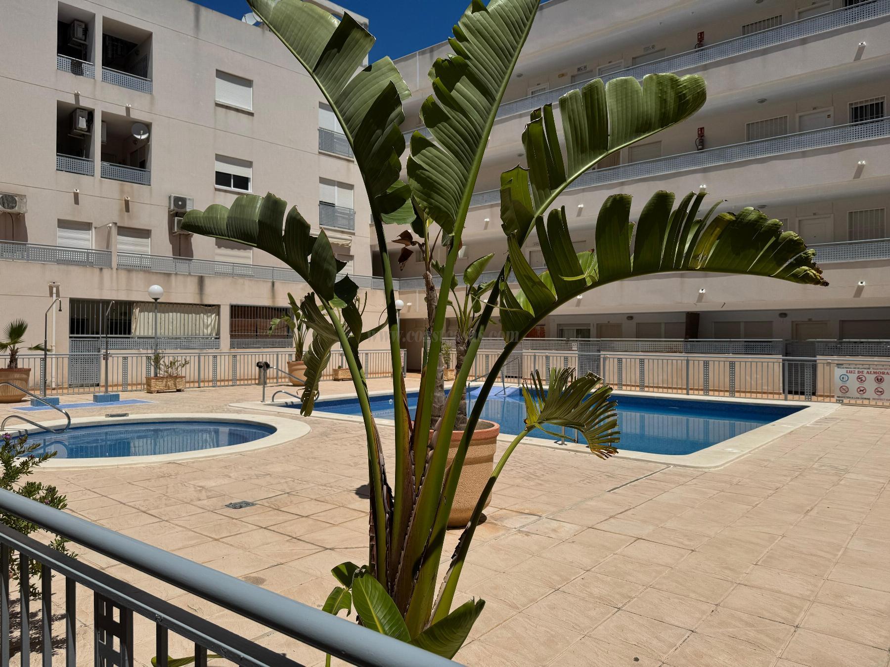 For sale of apartment in Almoradí
