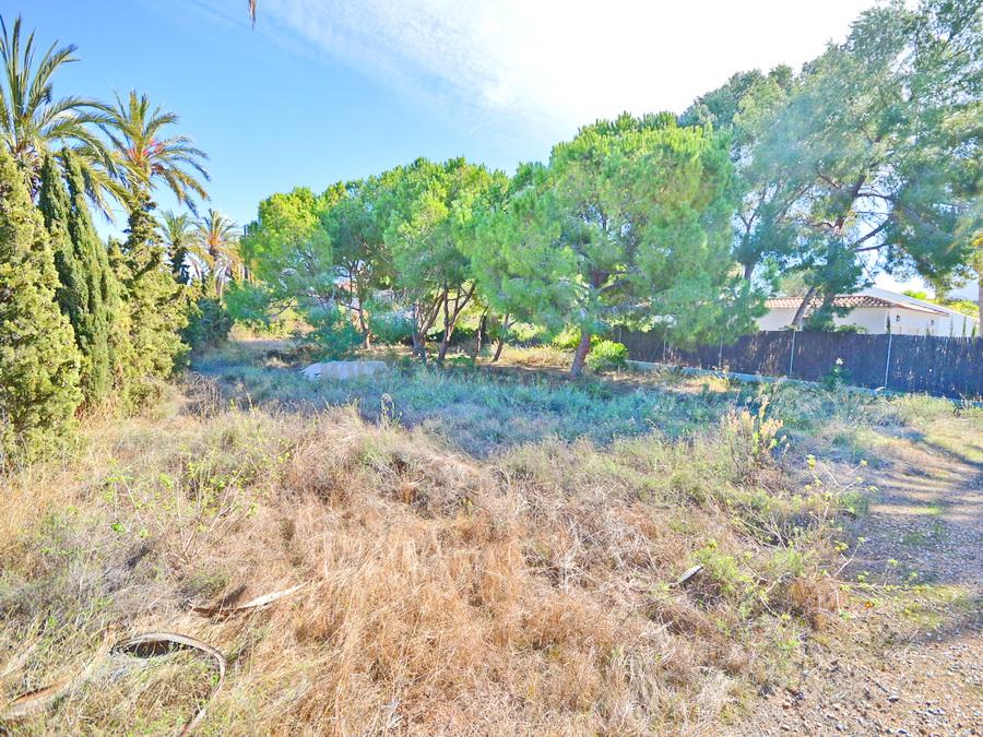 Venta de terreno en Orihuela Costa