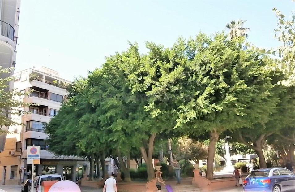 For sale of apartment in Orihuela