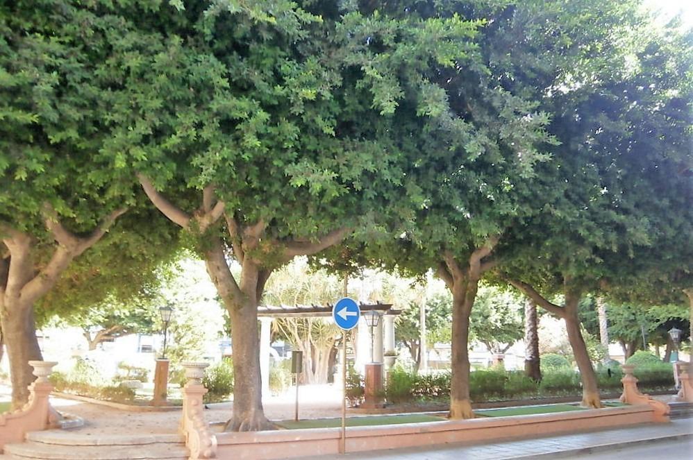 For sale of apartment in Orihuela