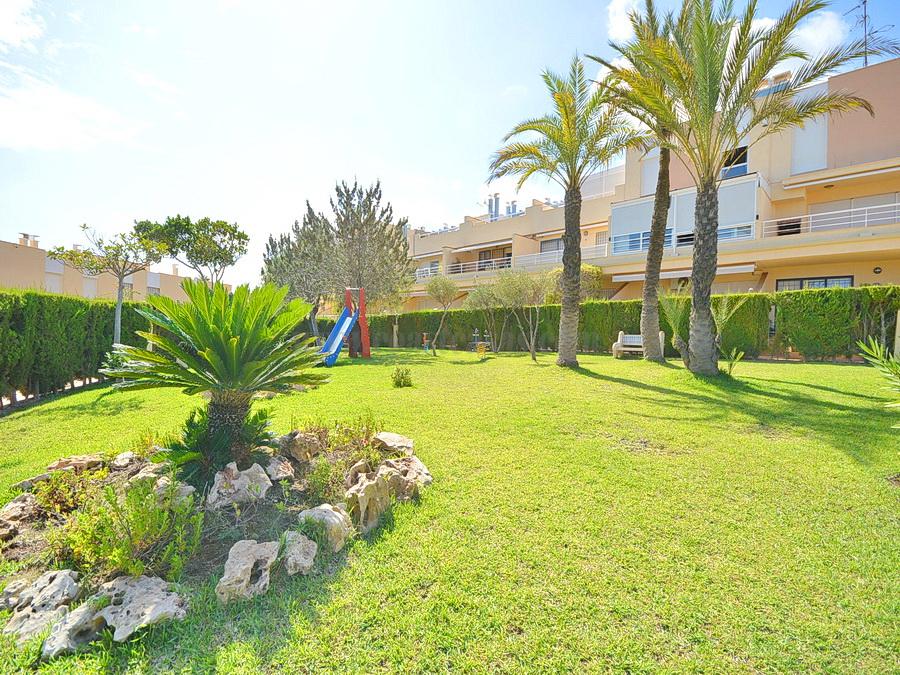 For rent of apartment in Orihuela Costa