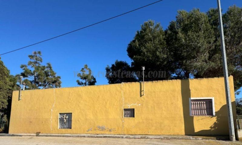 Venta de apartamento en Guardamar Del Segura
