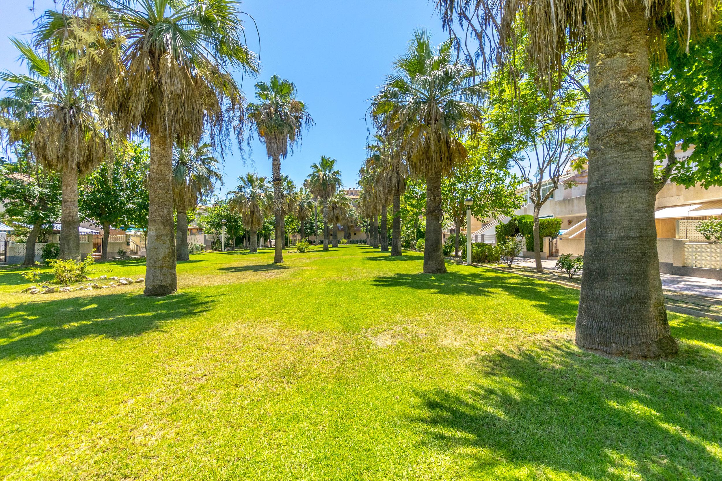 For rent of apartment in Orihuela Costa