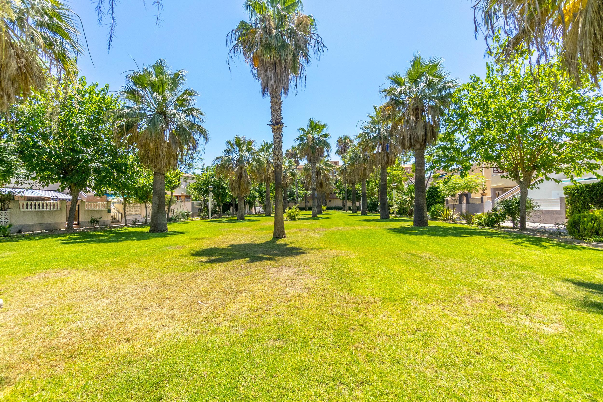 For rent of apartment in Orihuela Costa