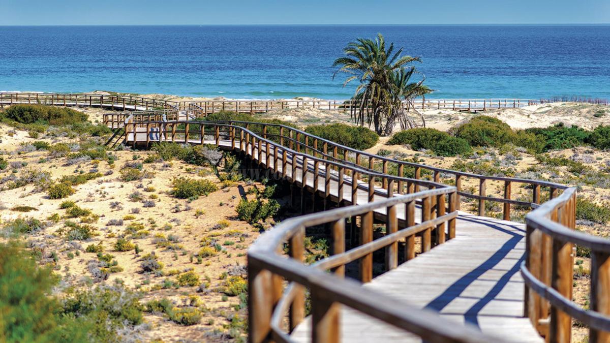 For sale of apartment in Monforte del Cid