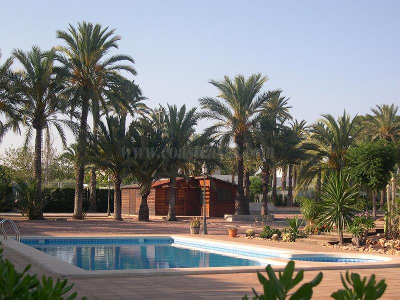 For sale of villa in Elche