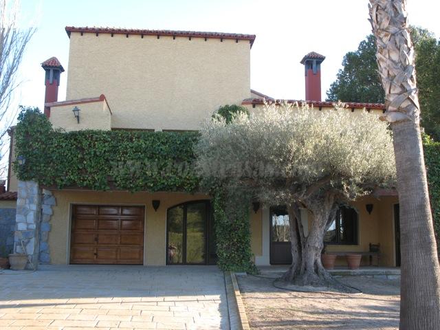 Venta de finca rústica en Elda