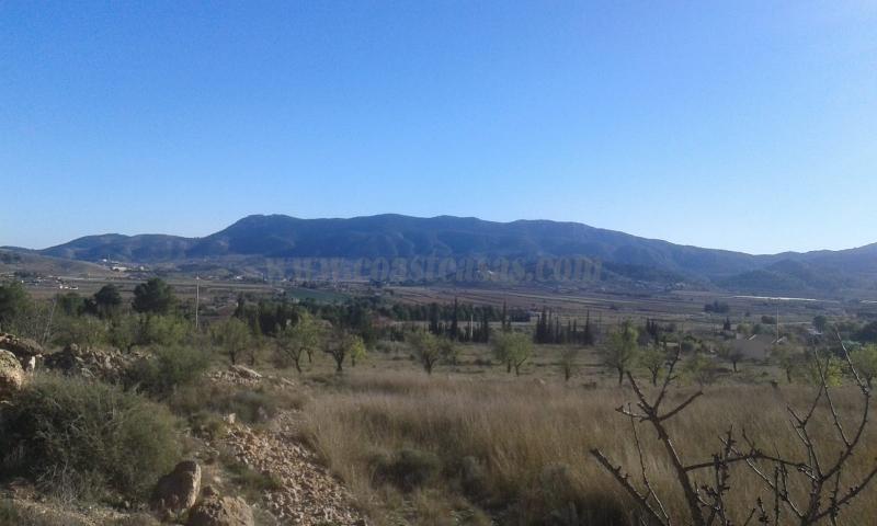 For sale of land in Hondón De Las Nieves