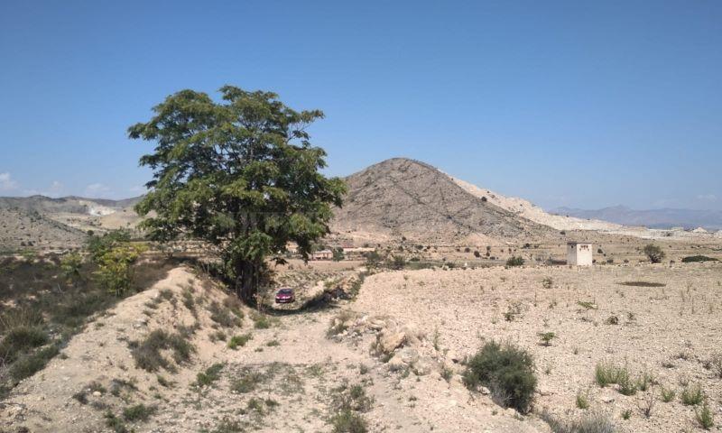 Verkoop van terrein in Hondón De Las Nieves