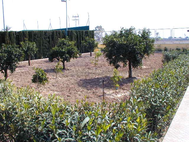 For sale of villa in Elche