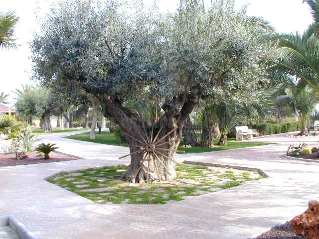 For sale of villa in Elche