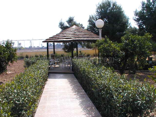 For sale of villa in Elche