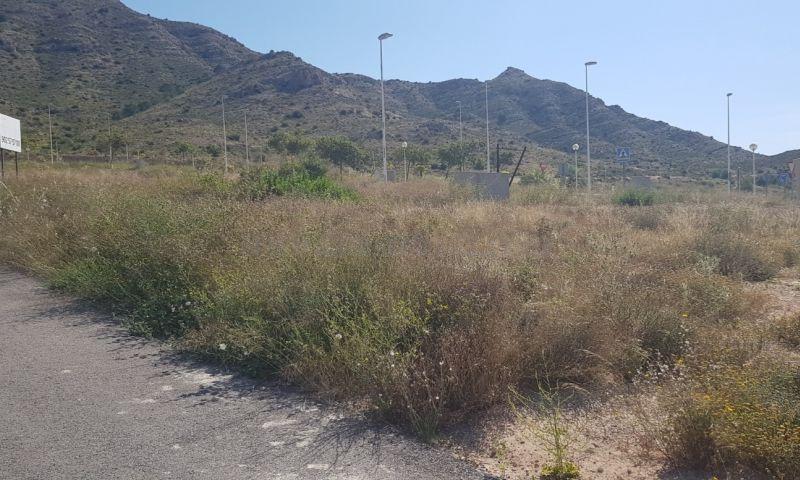 For sale of land in Aspe