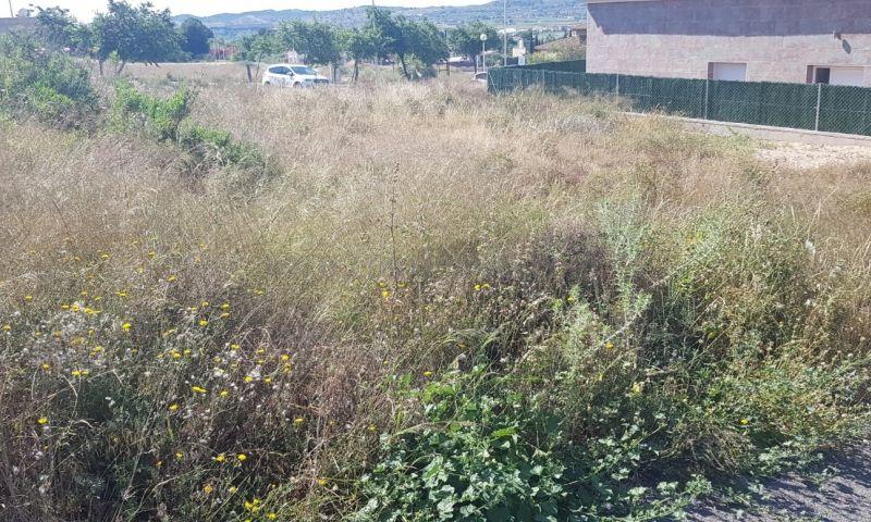 For sale of land in Aspe