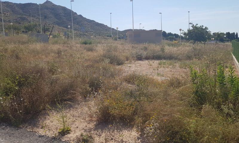 For sale of land in Aspe