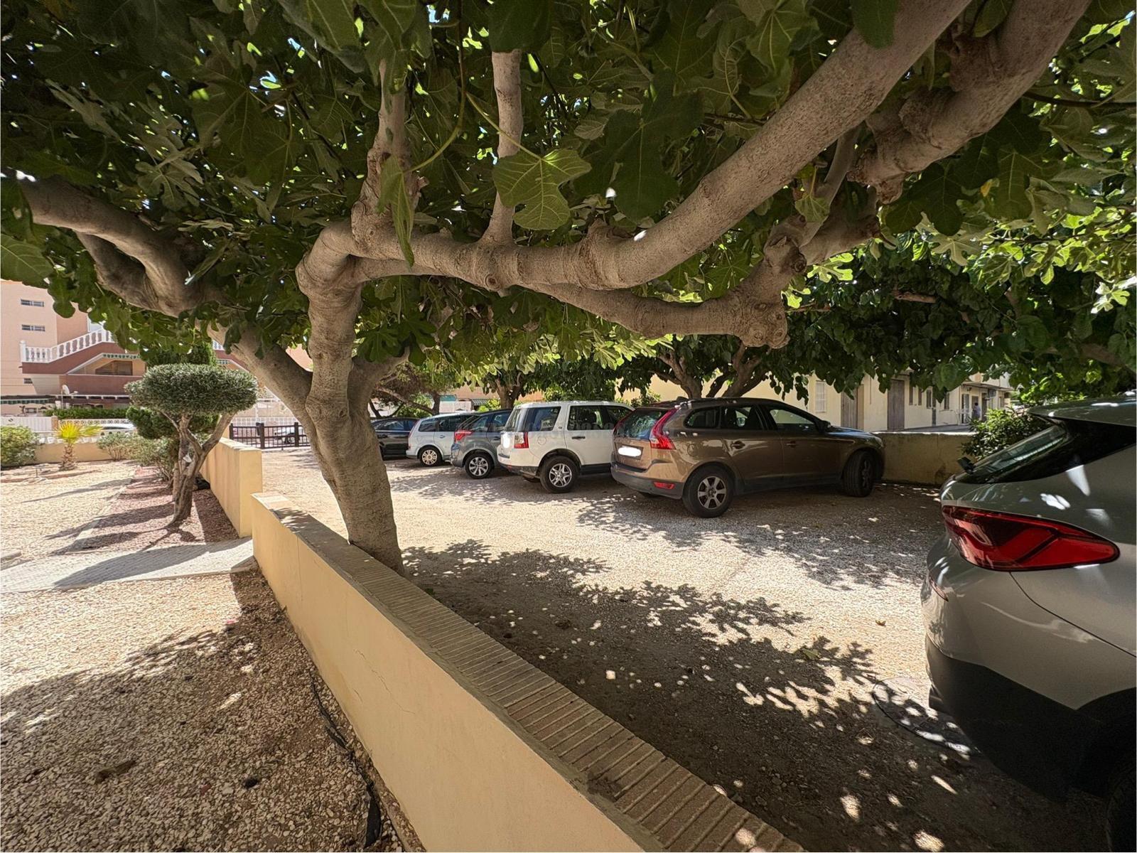 For sale of apartment in Torrevieja