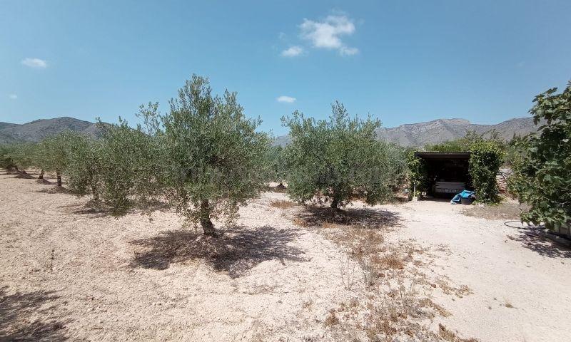 For sale of villa in Hondón De Las Nieves